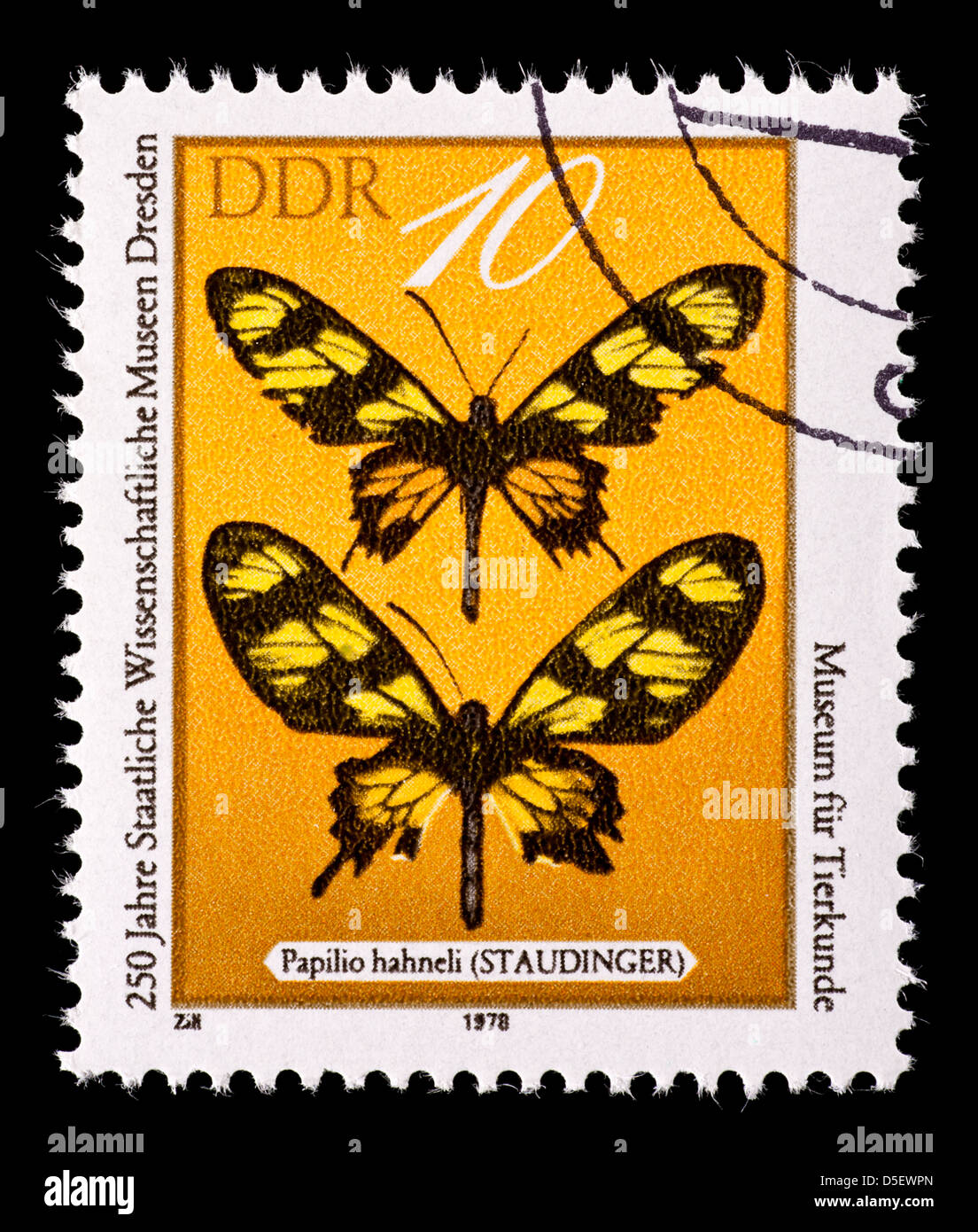 Postage stamp from East Germany (DDR) depicting a swallowtail butterfly