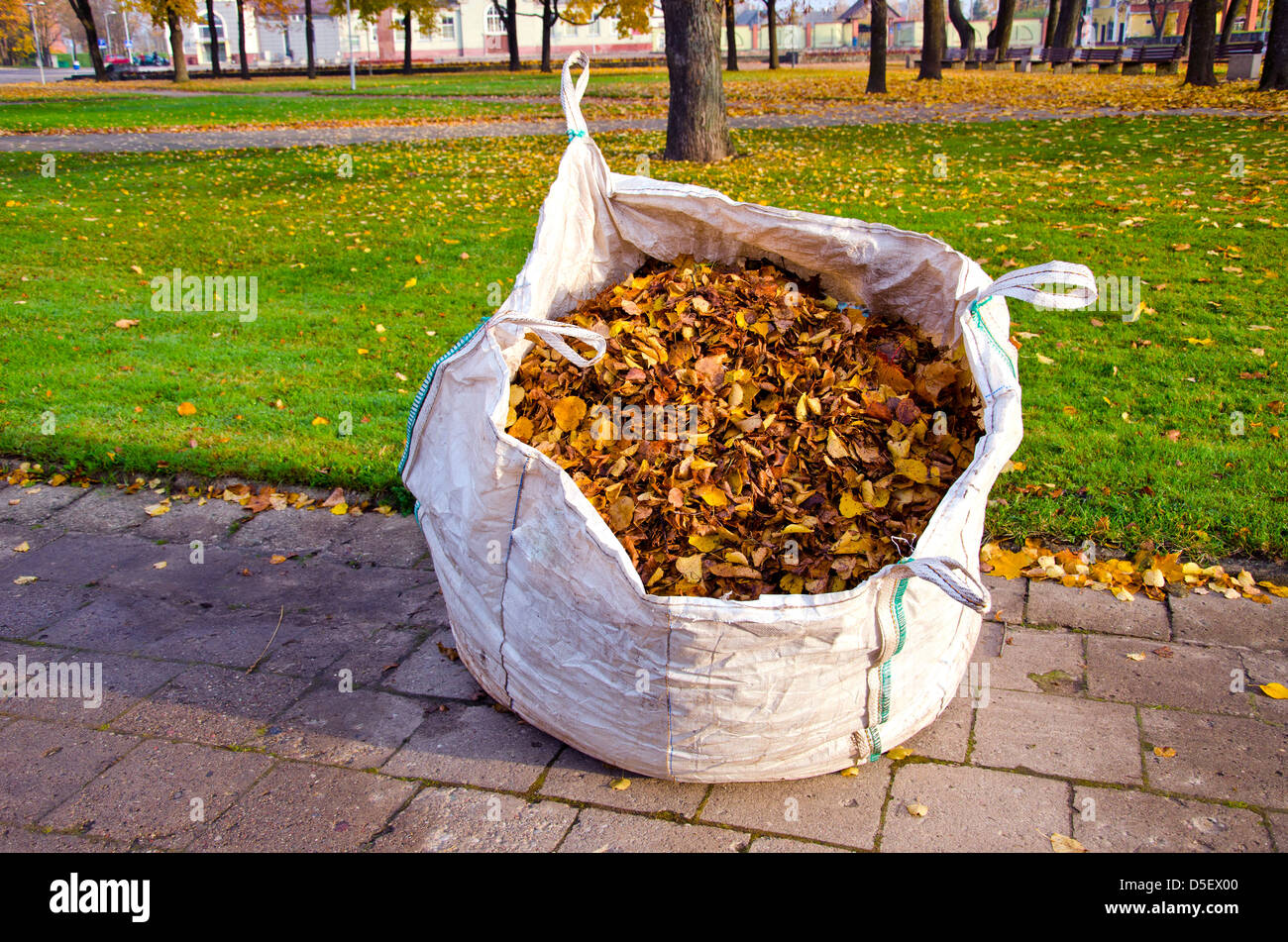 big white sack with autumn leaves in city park Stock Photo