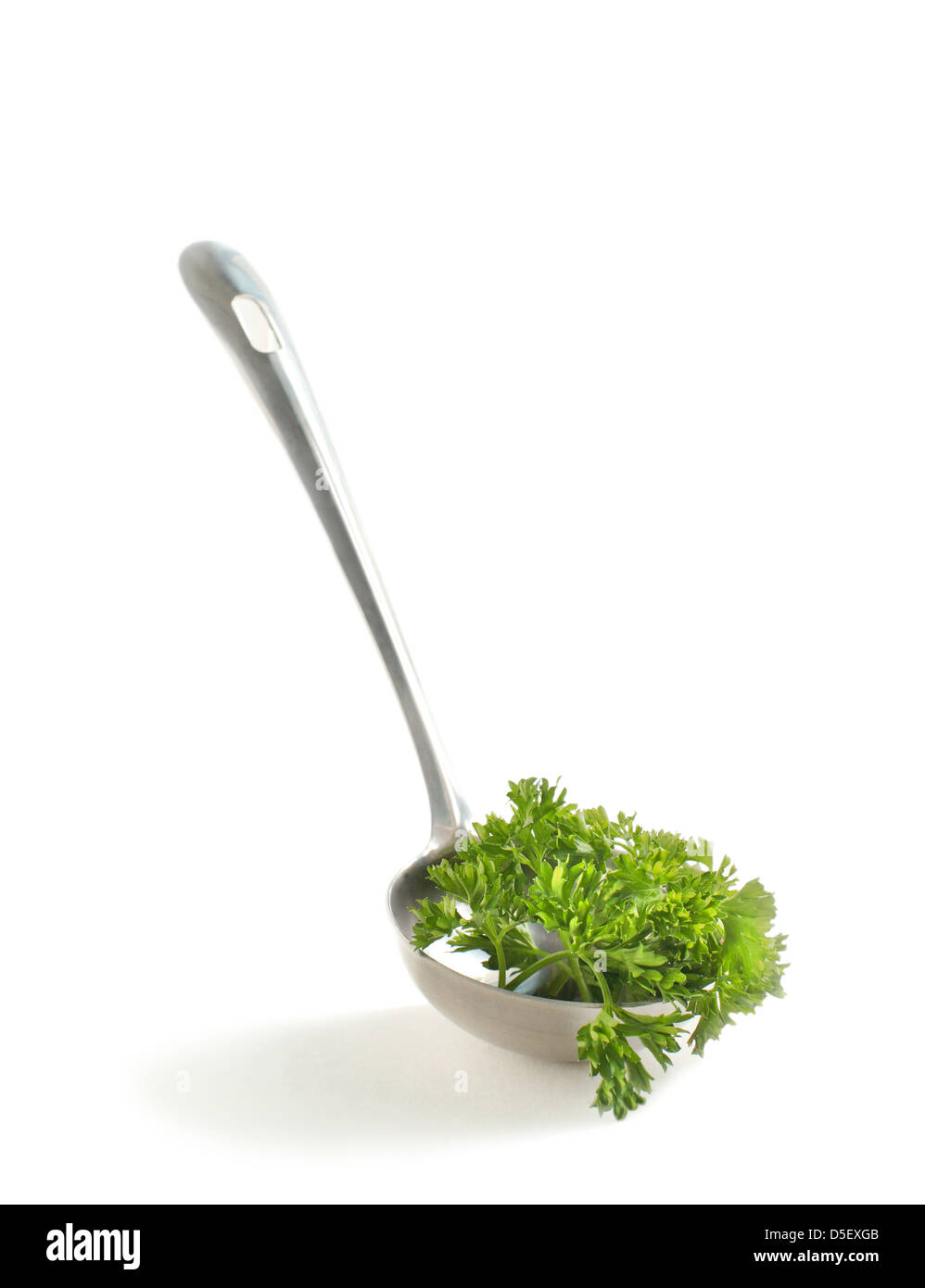 Green leaves of italian parsley in a soup ladle, isolated on white background Stock Photo