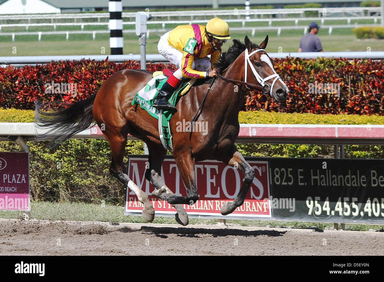 March 30, 2013 - Hallandale Beach, Florida, U.S. - Dreaming of Julia with jockey JOHN VELASQUEZ wins the Gulfstream Oaks (G2) at  Gulfstream Park,  Hallandale Beach Florida. (Credit Image: © Liz Lamont/Eclipse/ZUMAPRESS.com) Stock Photo