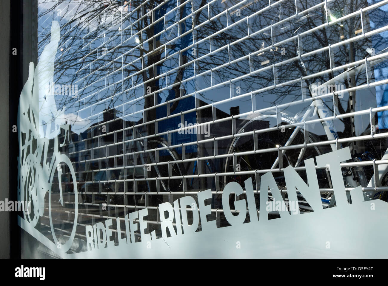 ride life, ride giant. shop window etching at a branch of the bike
