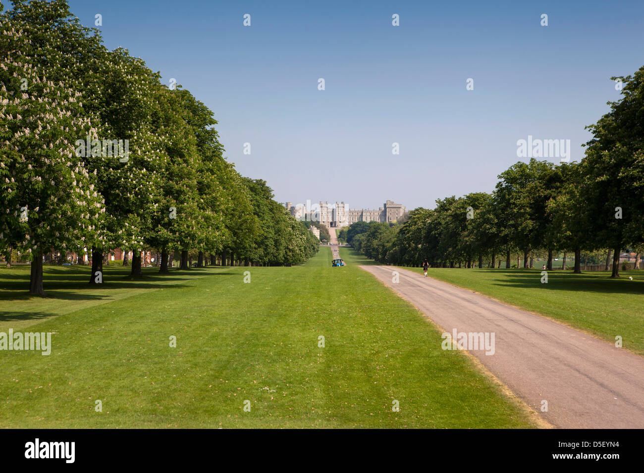 England, Berkshire, Windsor, Castle and the Long Walk from Windsor Great Park Stock Photo