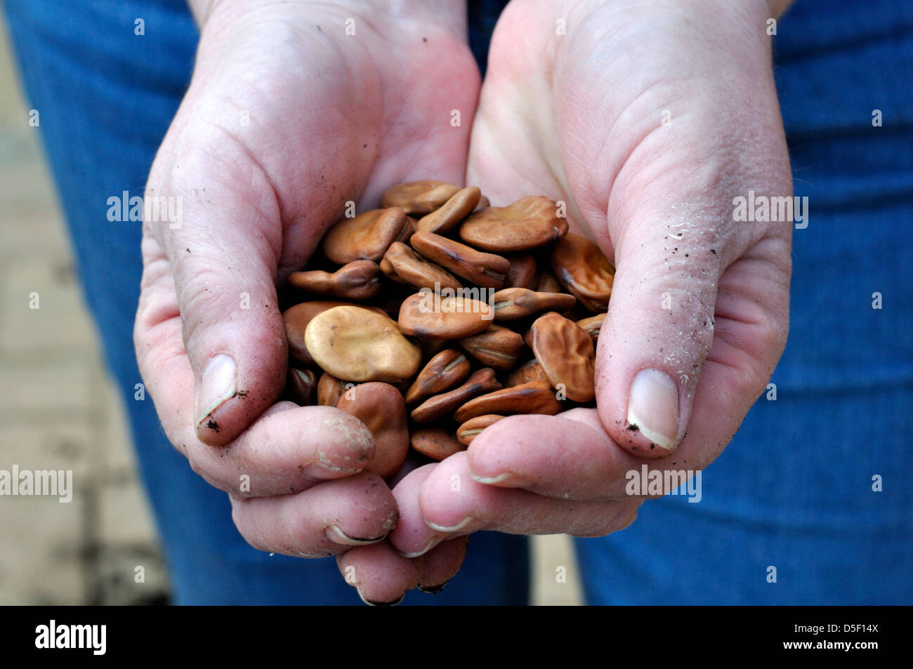 Witkiem hi-res stock photography and images - Alamy