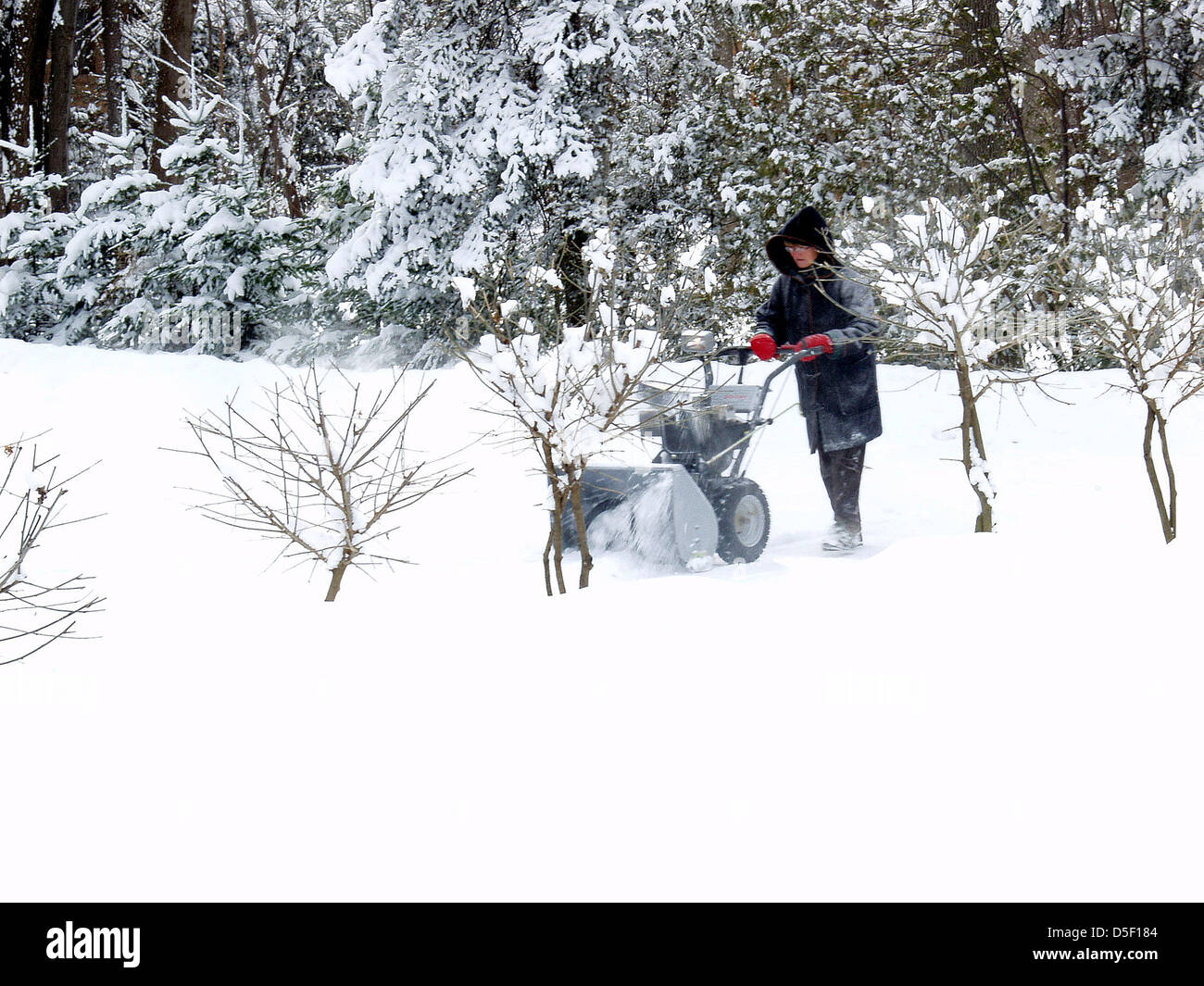 Woman in the winter with snow plow is plowing her driveway of lots of snow in Norther Ontario