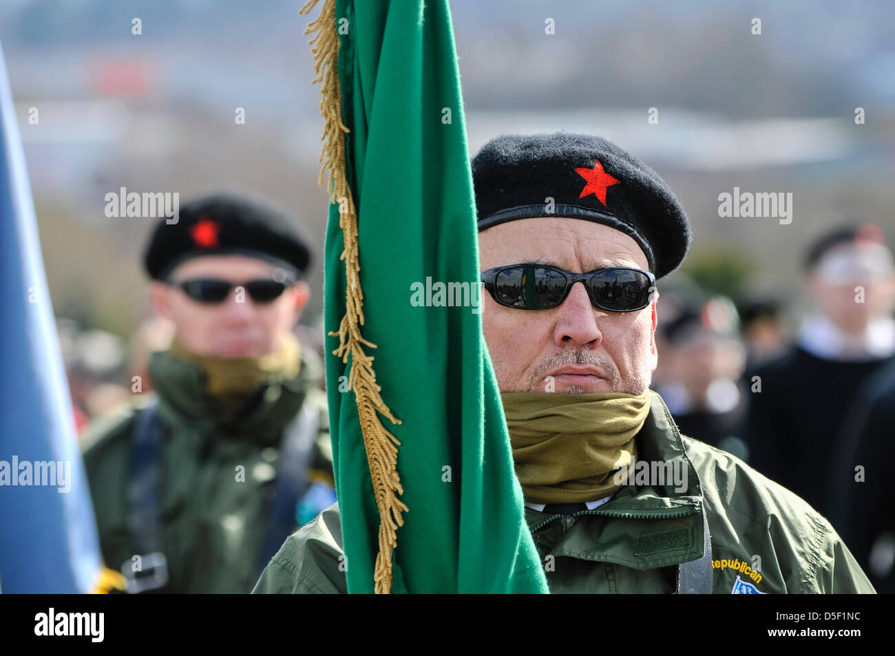 Real Irish Republican Army Symbol