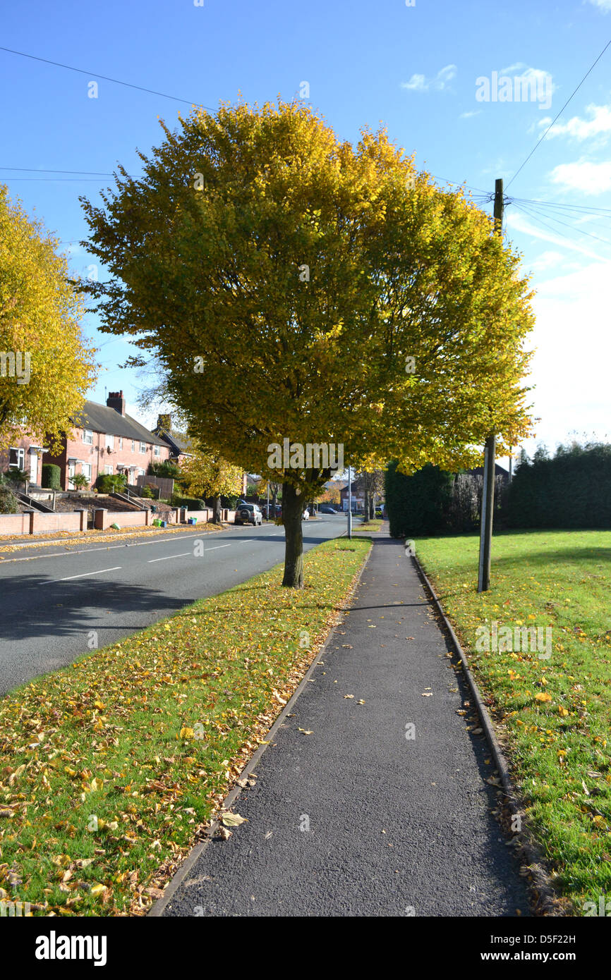 Newcastle under lyme hires stock photography and images Alamy