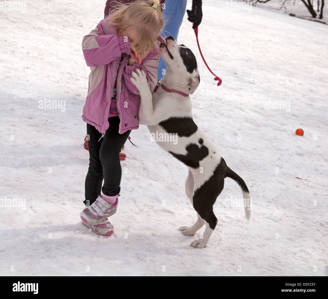 Young Teen Dog Lick