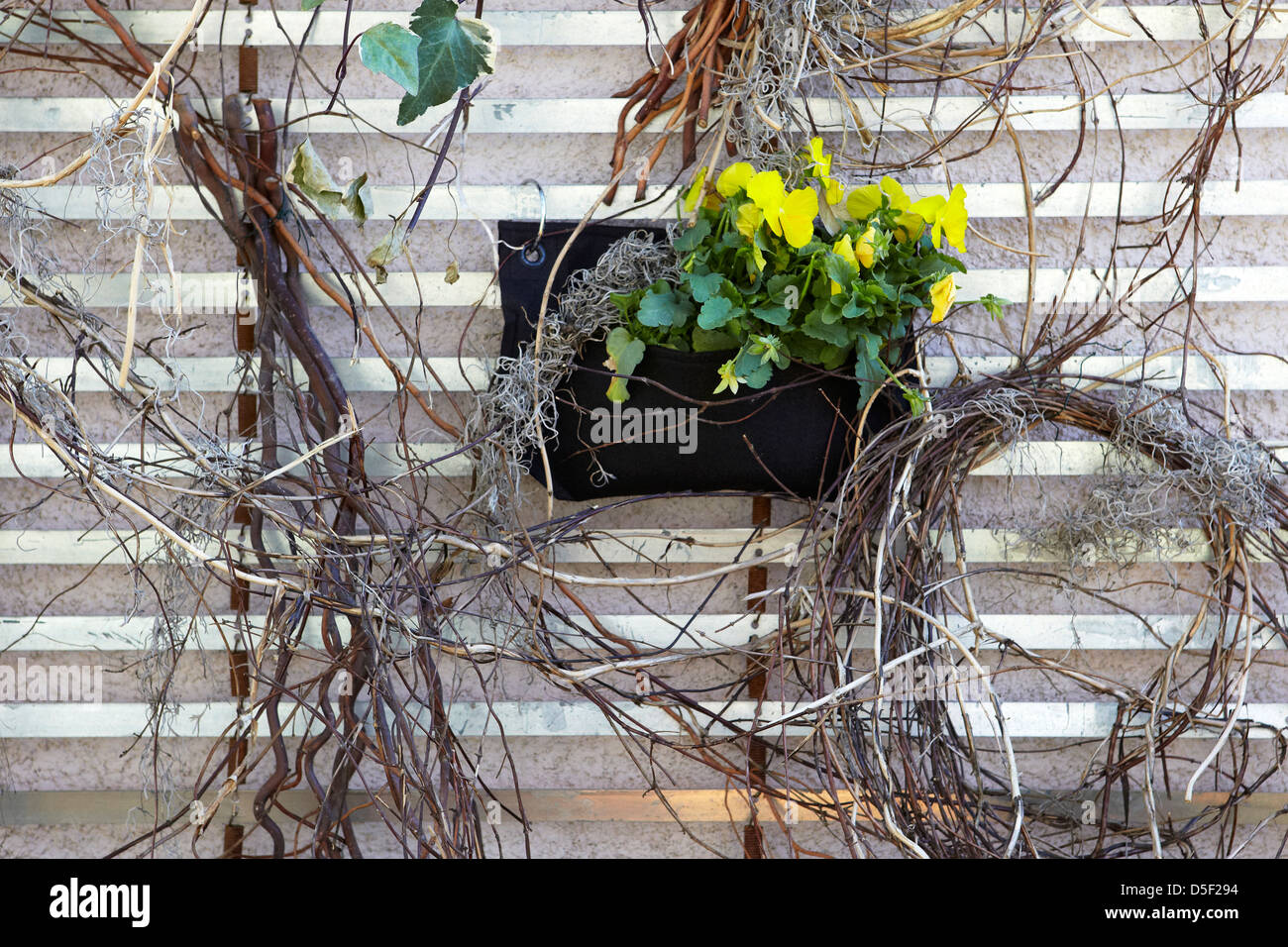 Felt planter hanging on wall Stock Photo Alamy
