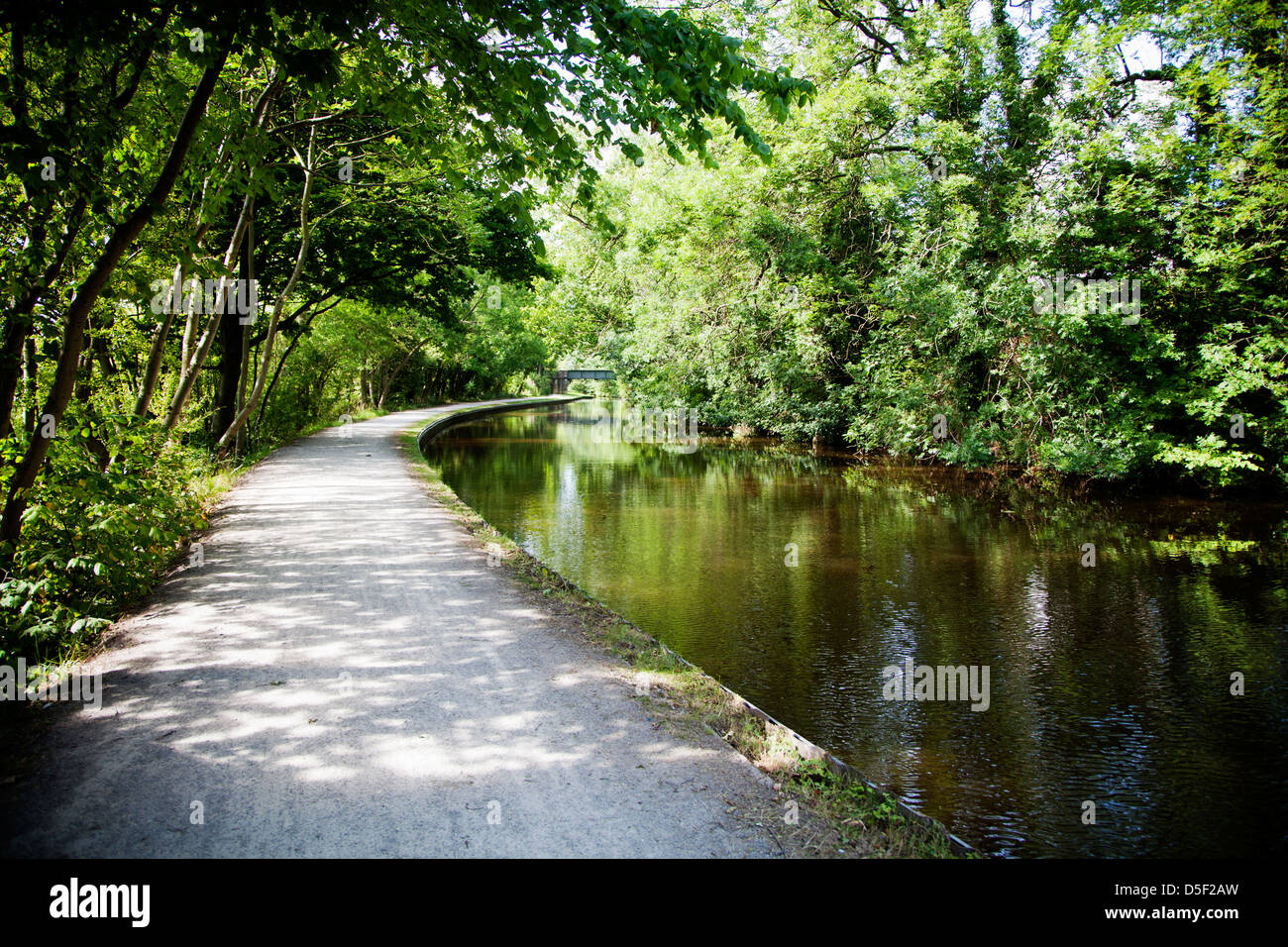 Summer landscape by the canal, sunny weather Stock Photo - Alamy