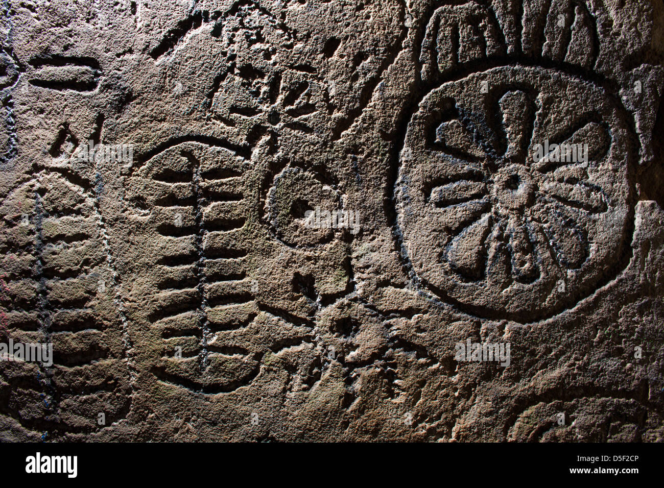 Megalithic petroglyphs ( rock engravings ) in the Loughcrew passage tomb, County Meath, Ireland. Stock Photo