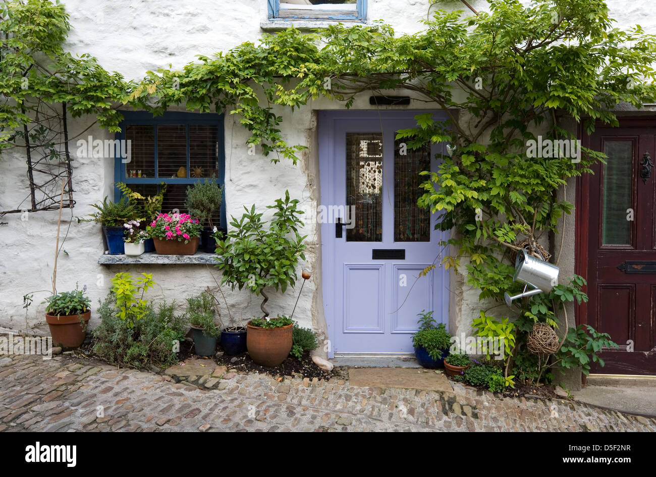 Pretty wisteria covered cottage, Dent, Yorkshire Stock Photo