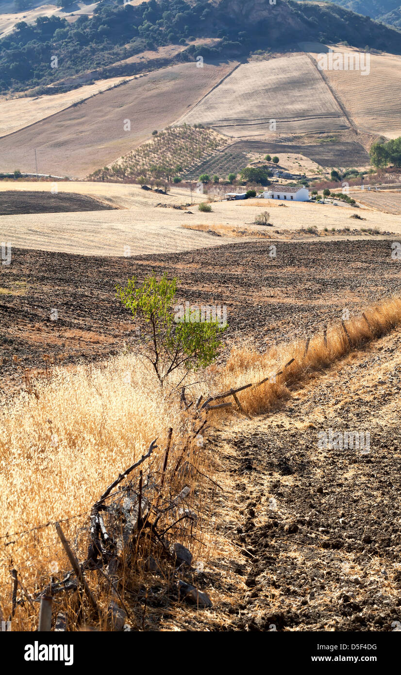 Andalucia spain field hires stock photography and images Alamy