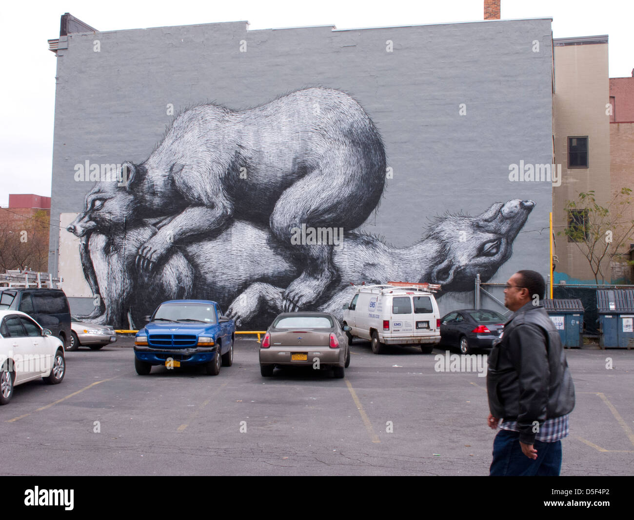 Urban art, Rochester NY USA Stock Photo Alamy