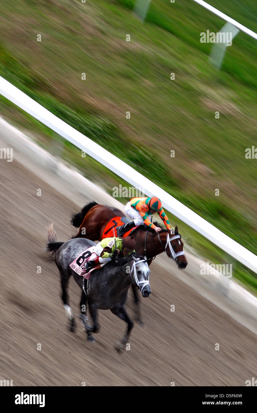 New Orleans, Louisiana, USA. 30th March, 2013. Graydar and Edgar Prado (8) edges out Mark Valeski and James Graham (7) to win the 88th running of the New Orleans Handicap at the Fair Grounds in New Orleans, LA. Stock Photo