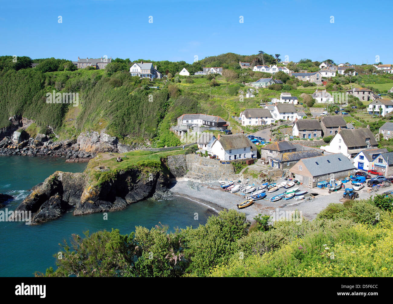 Cadgwith cove on the Lizard peninsular in Cornwall, Uk Stock Photo Alamy