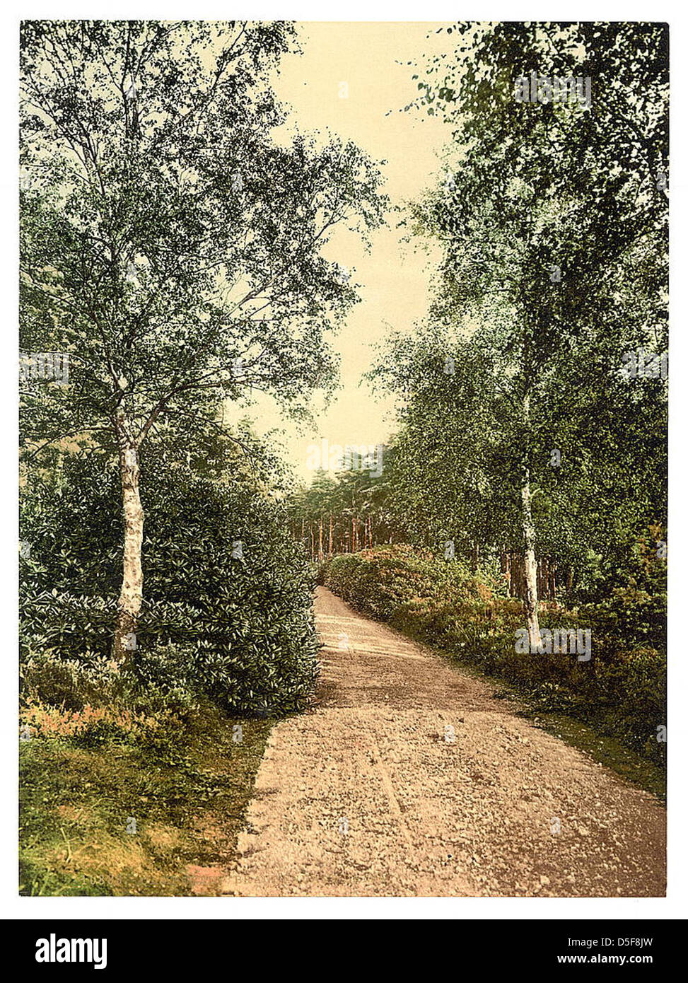 [Brackendale, the drive, Camberley, England] (LOC Stock Photo Alamy