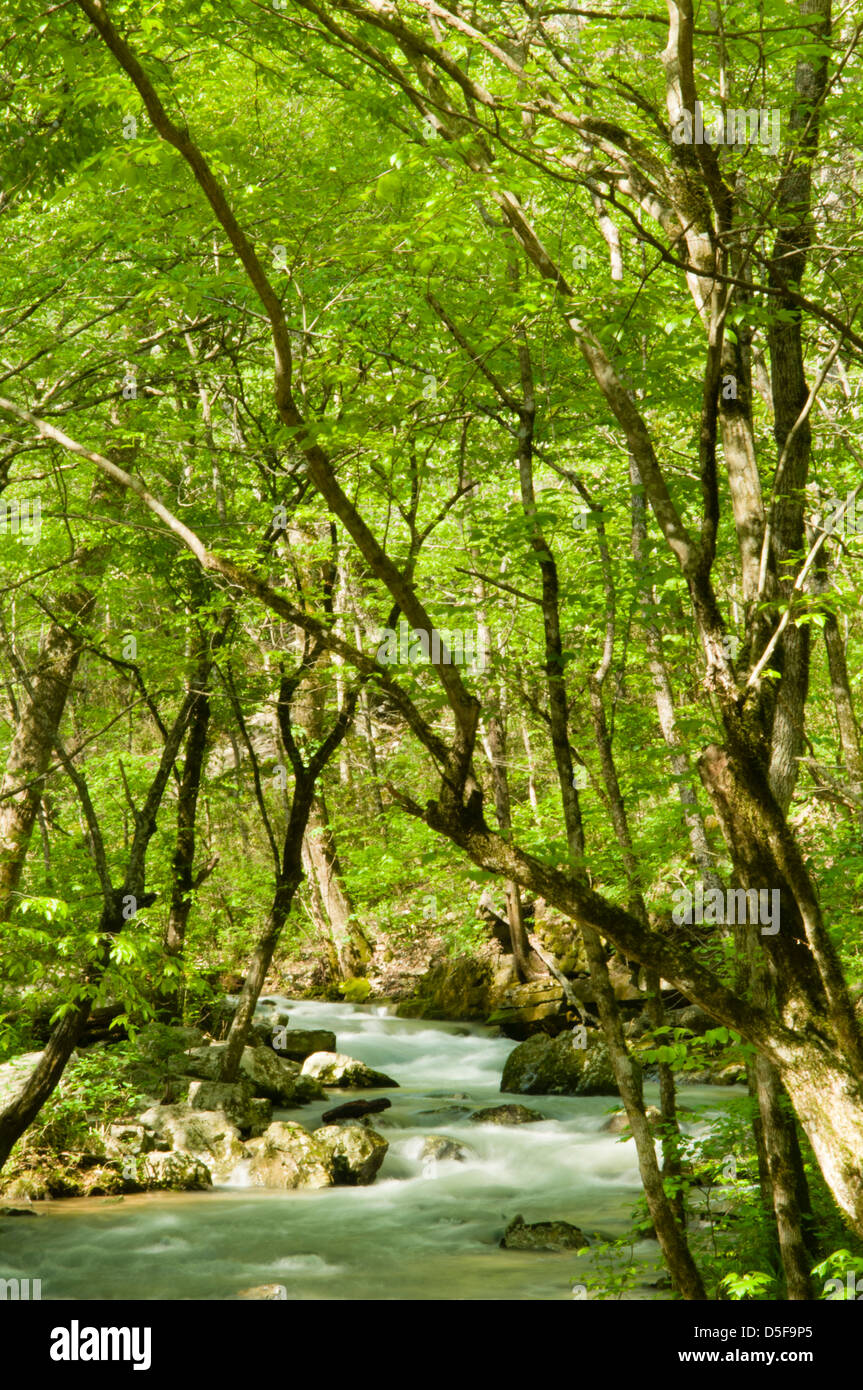 Mill Creek in the Ozark National Forest flows out of Blanchard Springs