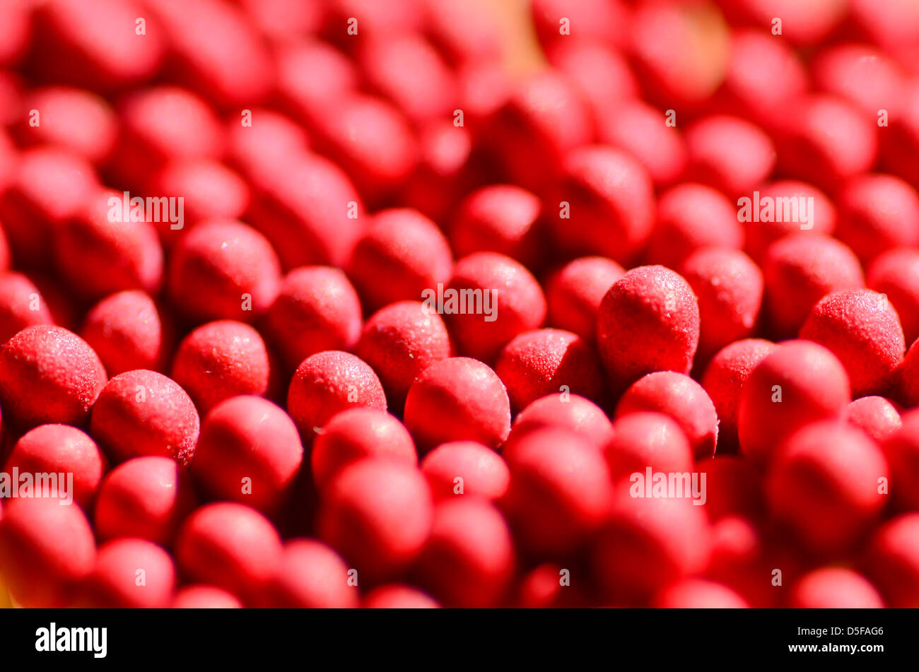 Closeup of red match heads Stock Photo
