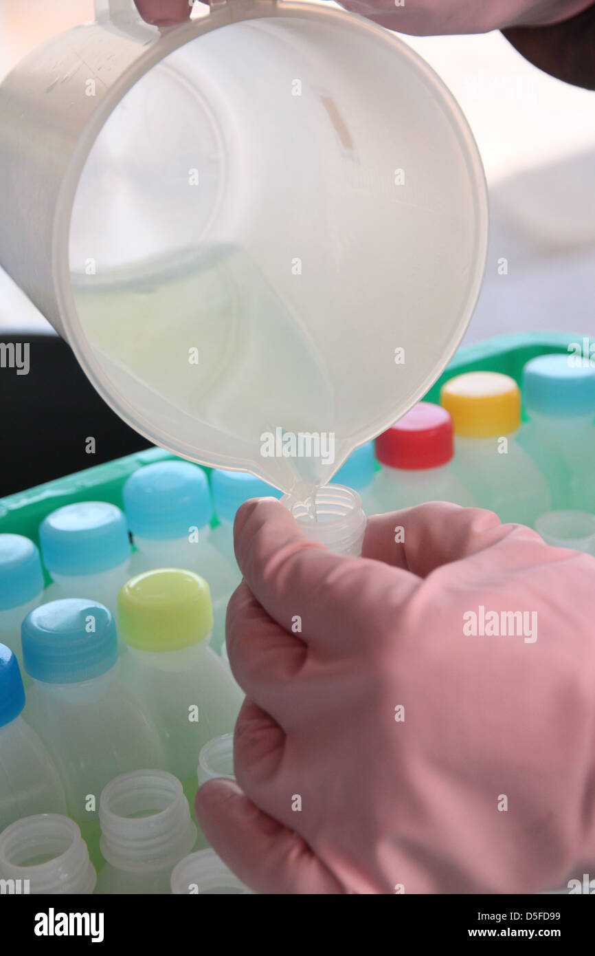 Fill chemical water in to the bottle. Stock Photo