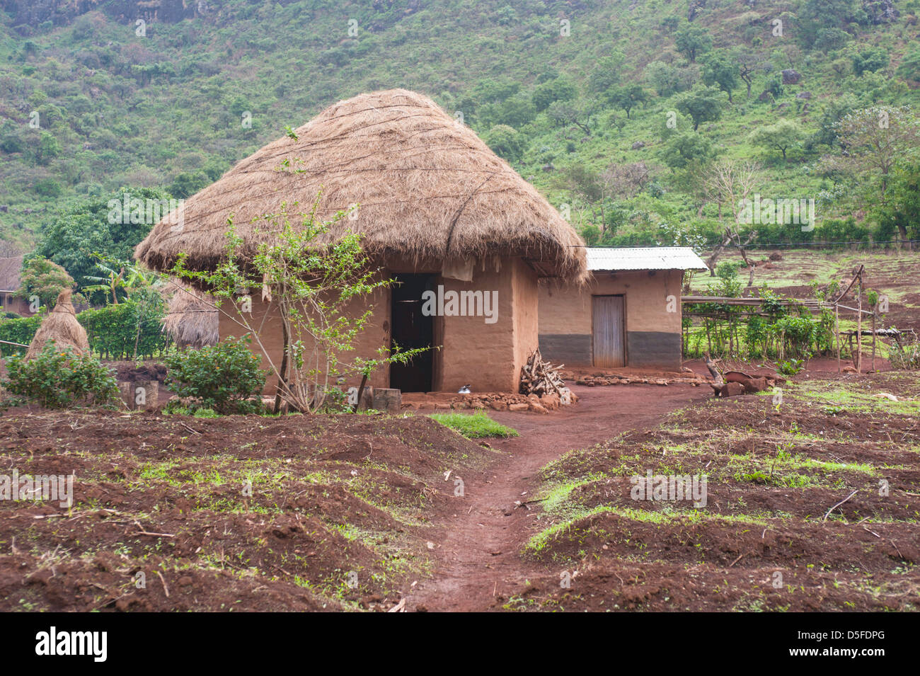 Typical African home hut in Cameroon near Bamenda Stock Photo: 55044488