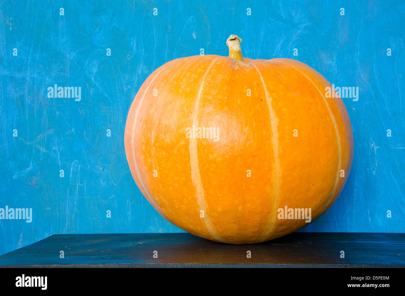 big one yellow pumpkin on black table Stock Photo - Alamy