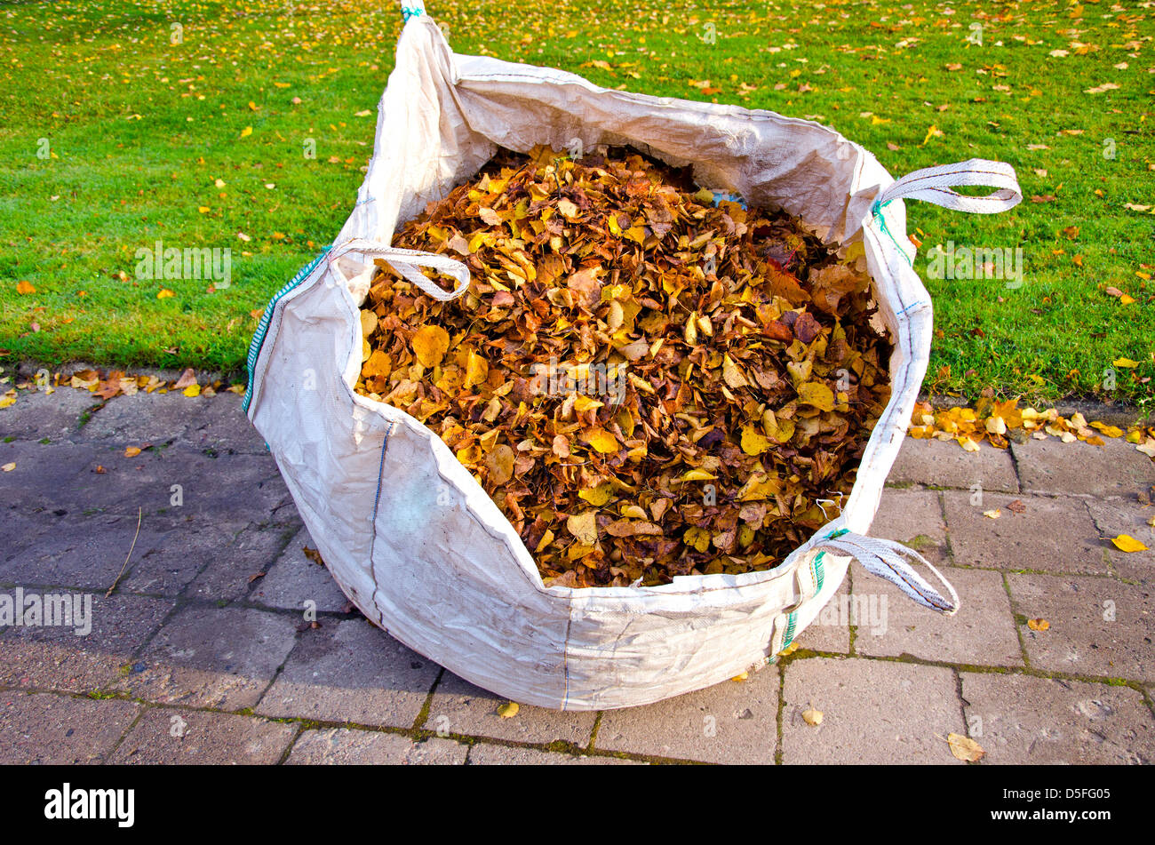 big sack with autumn dry leaves in city park Stock Photo