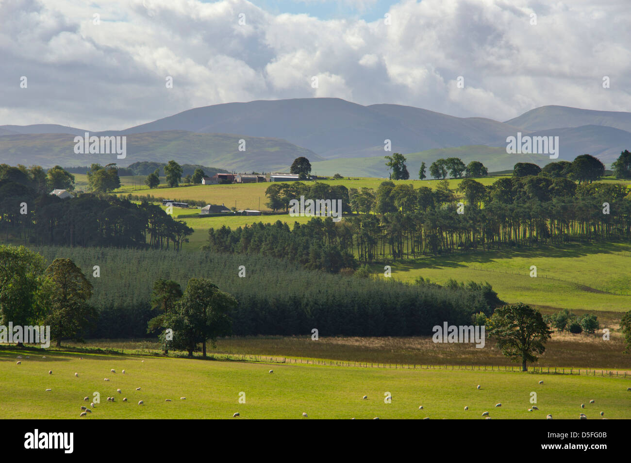 Scottish borders landscape hi-res stock photography and images - Alamy