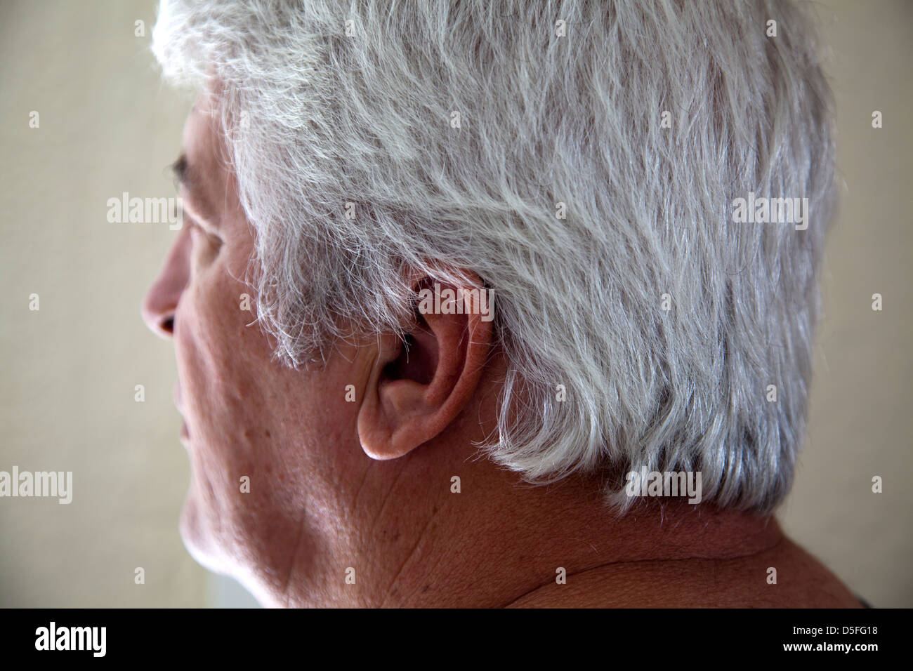 Man With Silver Hair Stock Photo