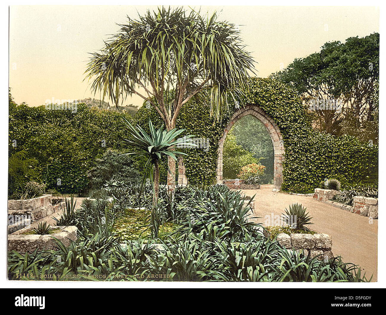[Scilly Isles, Tresco Abbey, old arches, Cornwall, England] (LOC) Stock Photo