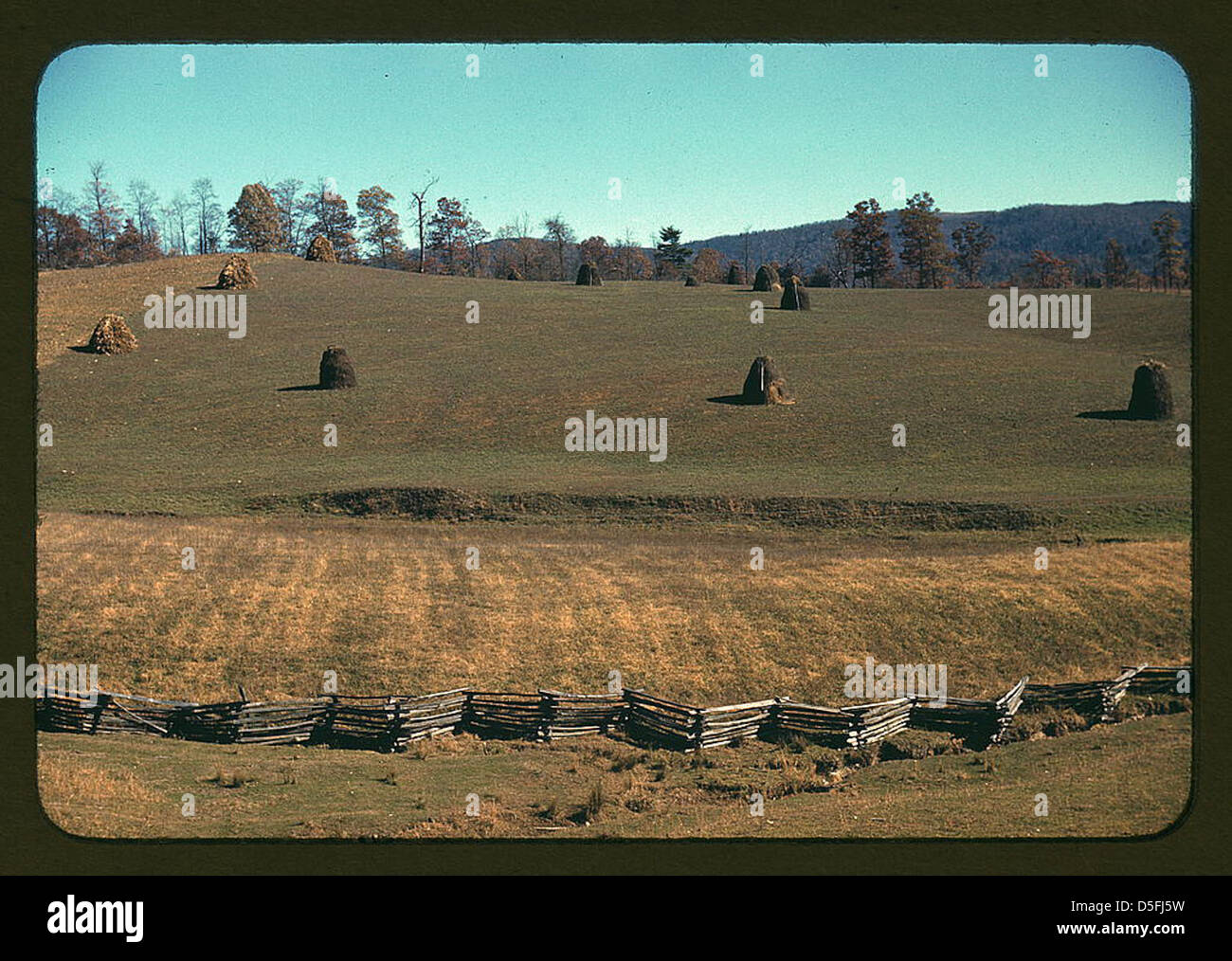 [Field of a mountain farm along the Skyline Drive in Virginia] (LOC