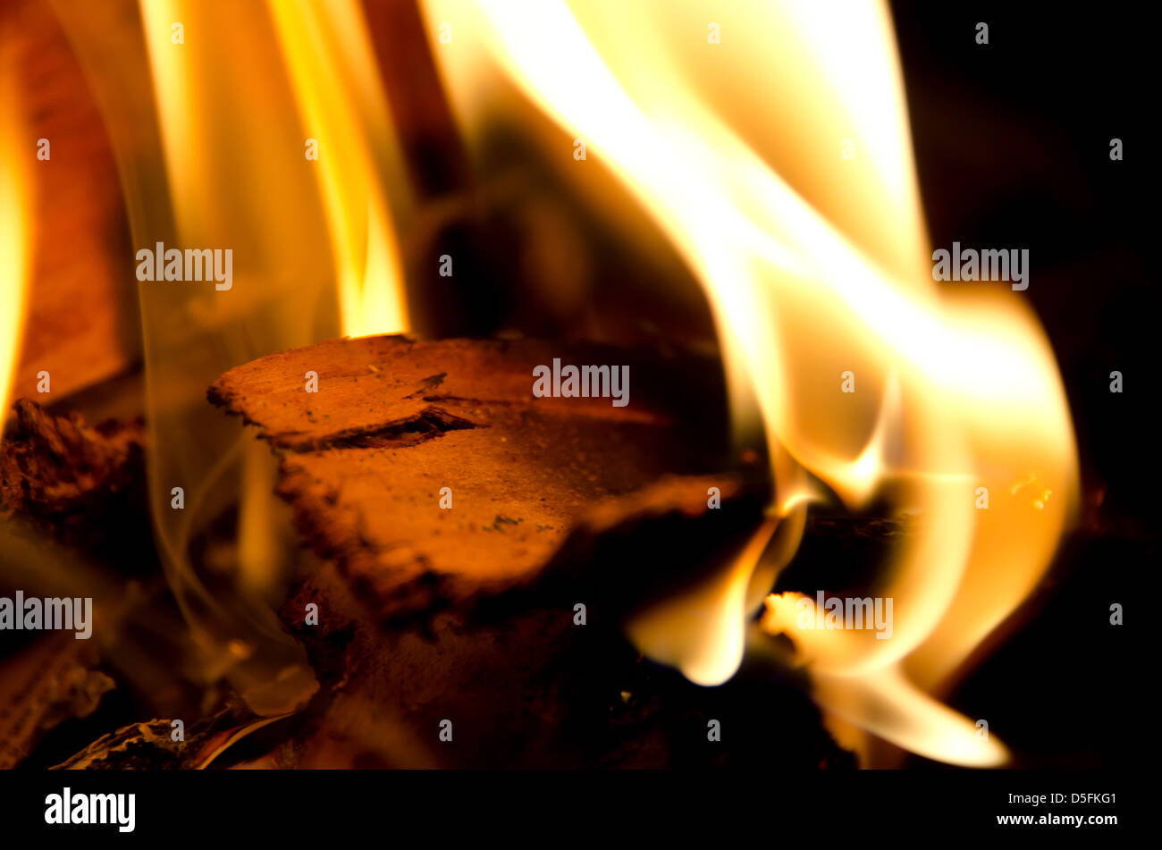 Closeup view of burning log Stock Photo Alamy