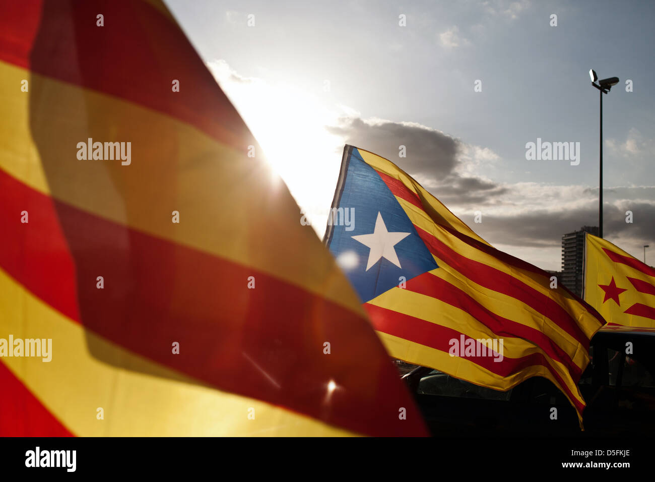Catalan flags Stock Photo