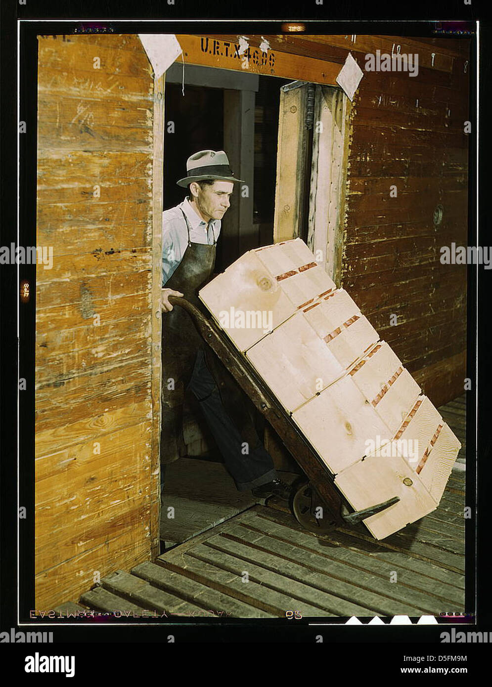 Loading oranges into refrigerator car at a co-op orange packing plant (LOC) Stock Photo