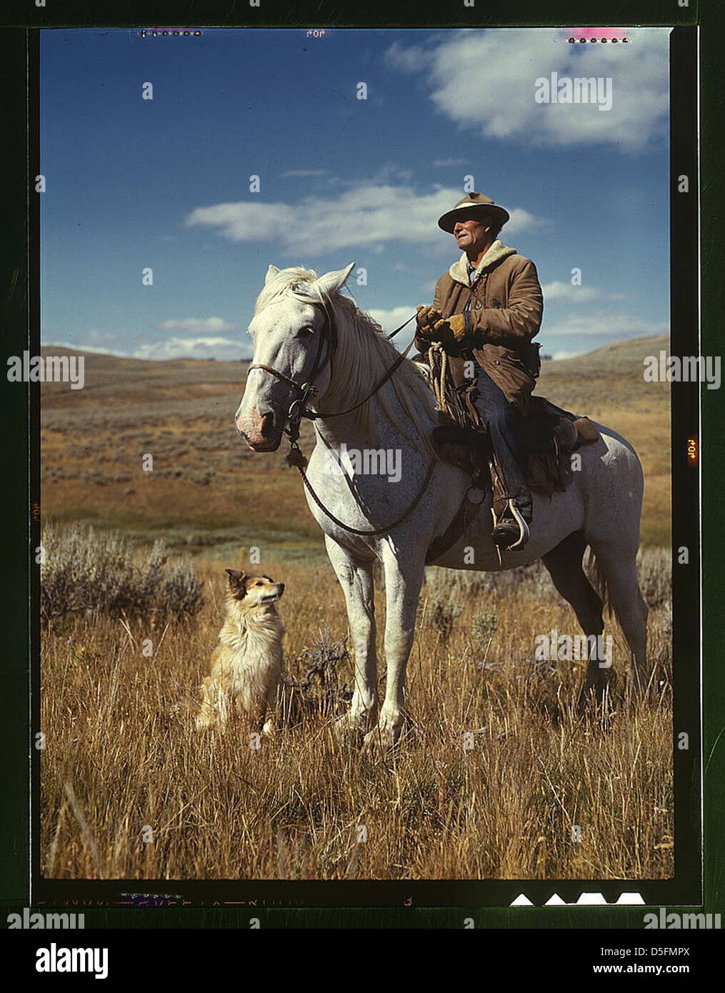 Shepherd with his horse and dog on Gravelly Range, Madison County, Montana (LOC) Stock Photo