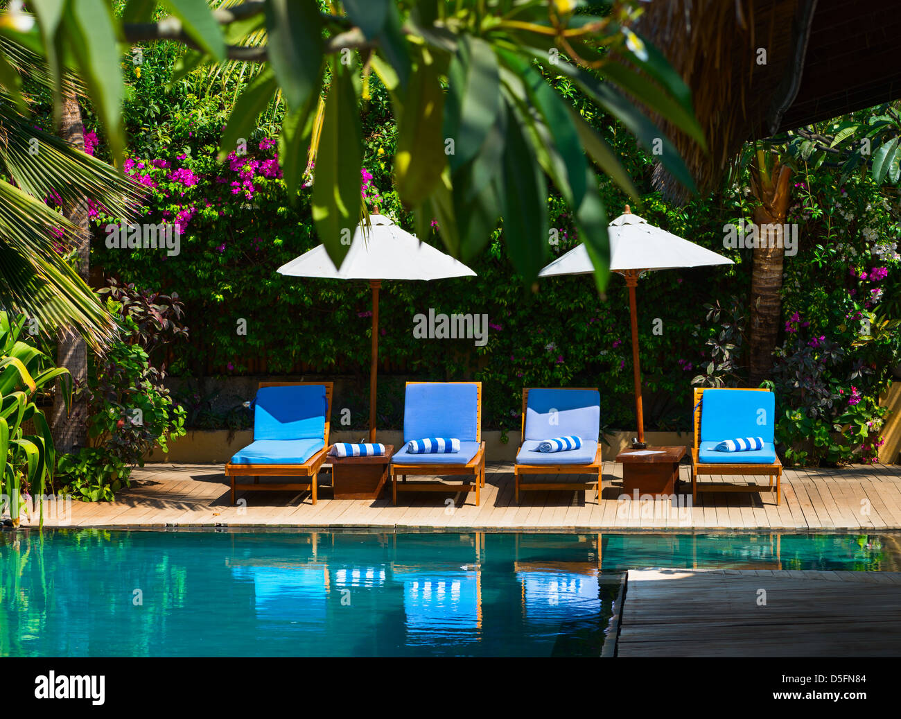 Beach chairs near swimming pool in tropical resort Stock Photo Alamy