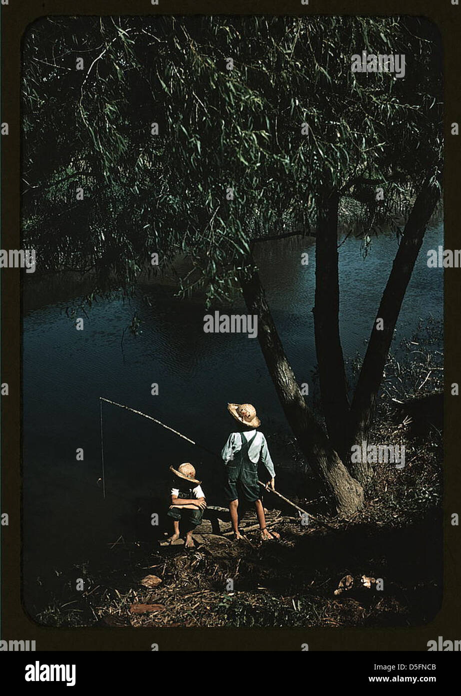 Boys fishing in a bayou, Schriever, La. (LOC) Stock Photo