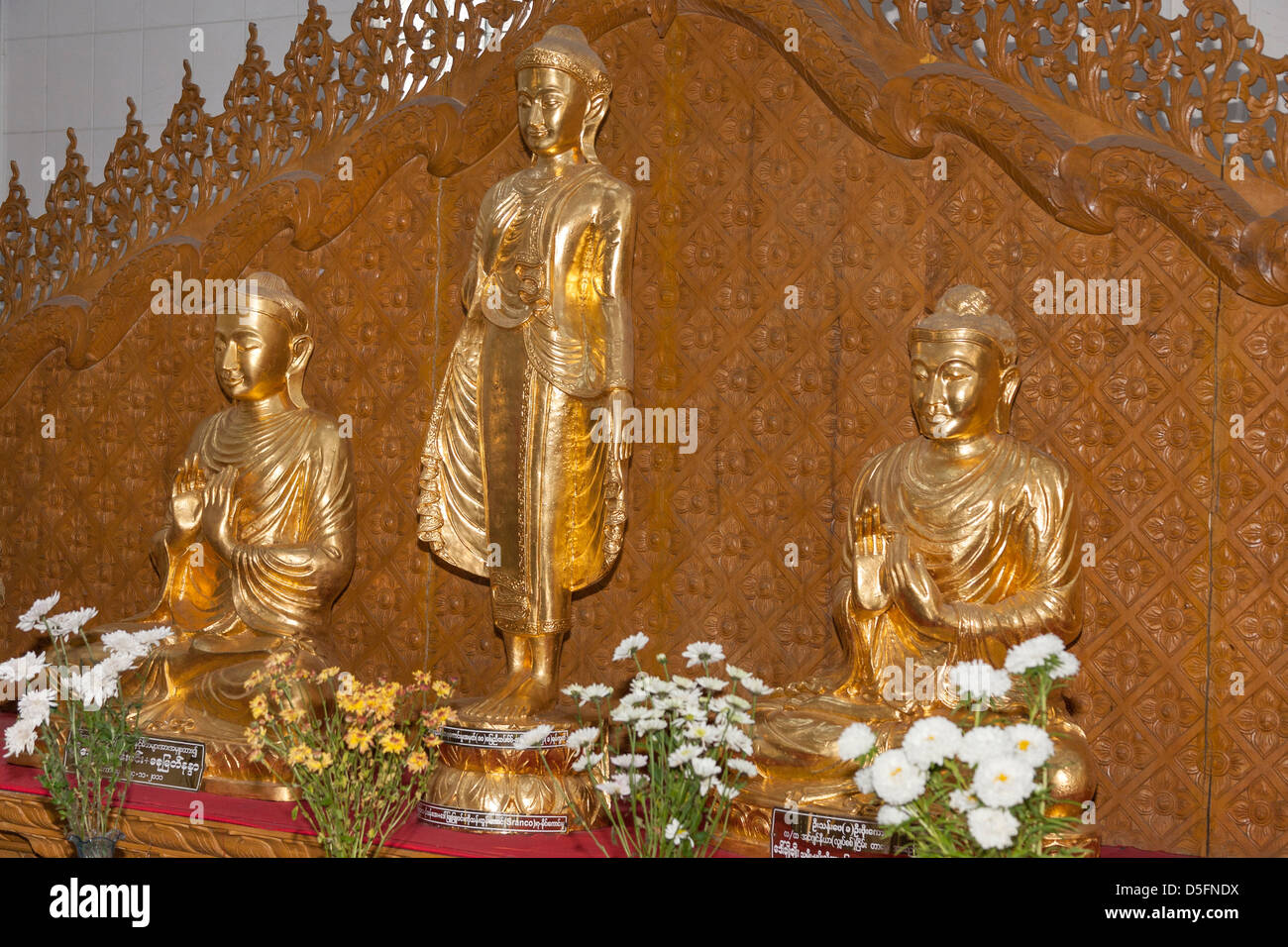 Golden Buddha statues in a prayer hall, Chaukhtatgyi Pagoda, Yangon (Rangoon), Myanmar, (Burma) Stock Photo