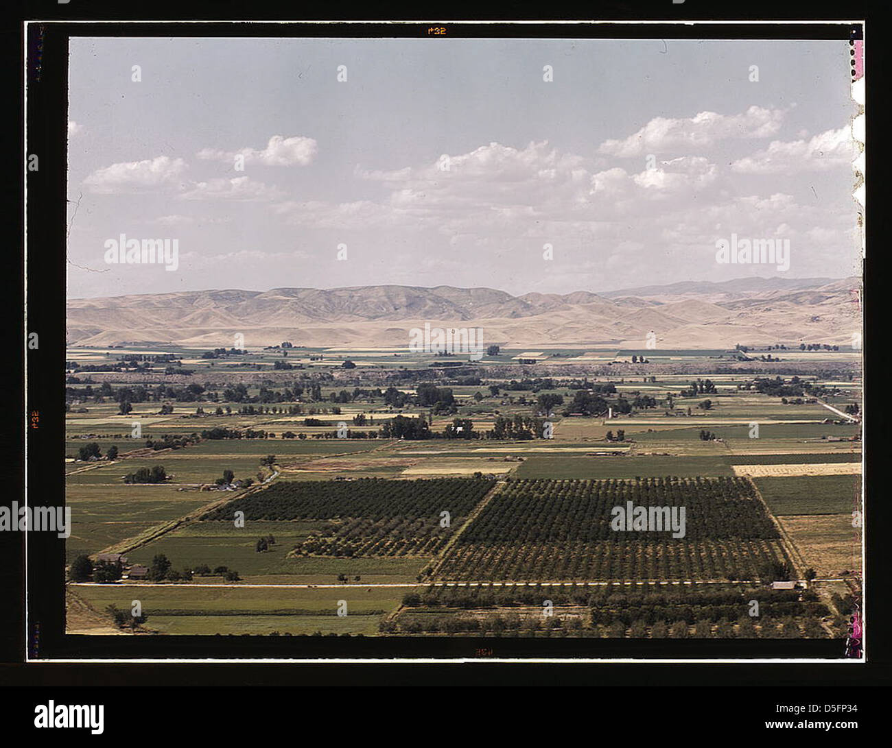 Cherry orchards, farm lands and irrigation ditch at Emmett, Idaho (LOC