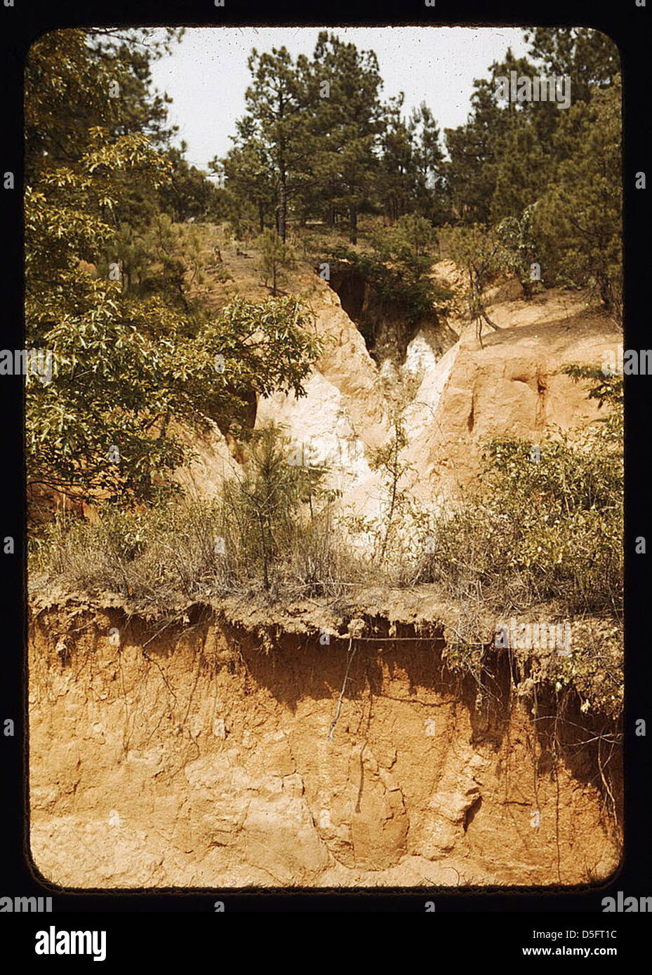This image depicts eroded land, showing visible damage from water and ... - Eroded Land Surface Photos