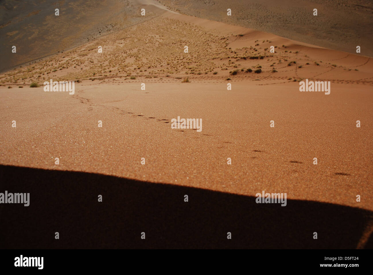 View from dune 45 summit. Sossusvlei. Namib Naukluft National Park ...