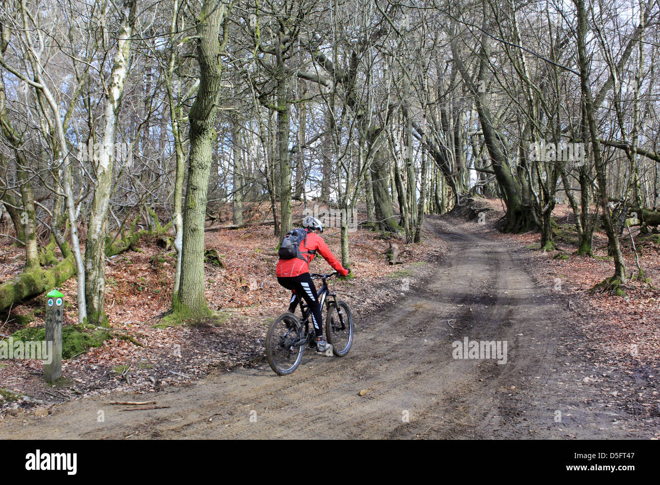 Cycling surrey hills hires stock photography and images Alamy