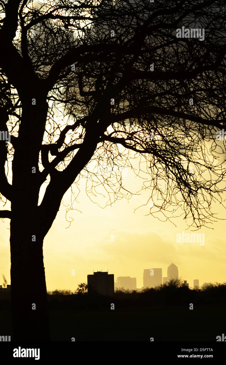 VIEW LOOKING WEST ACROSS WANSTEAD FLATS IN EAST LONDON TOWARDS CANARY