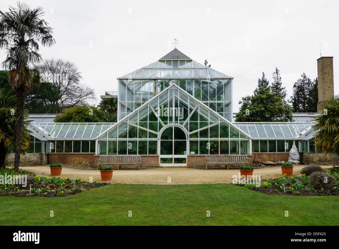 Cambridge Botanic Garden Tropical House Stock Photo