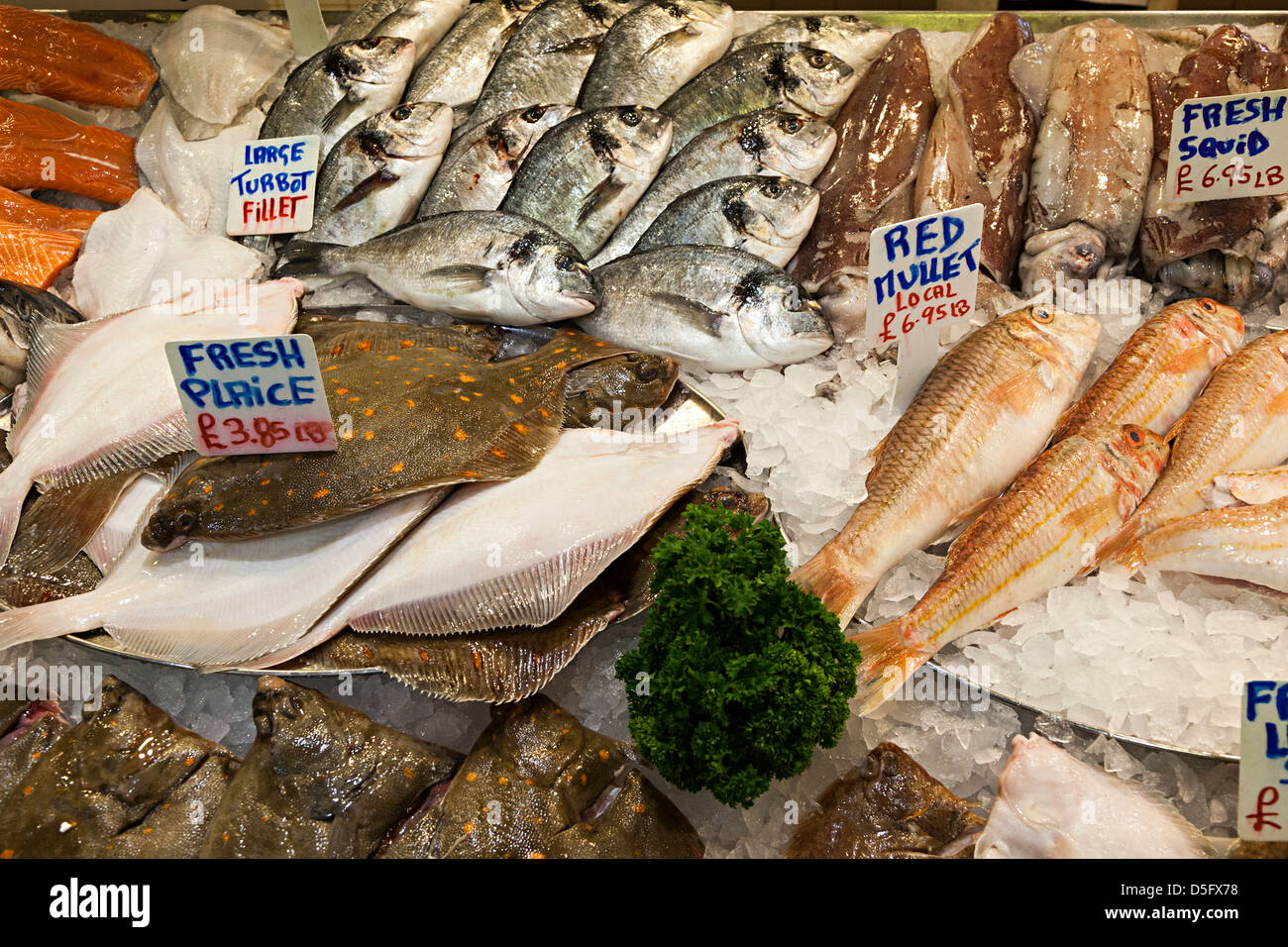 Fish english channel hires stock photography and images Alamy Fish english channel hires stock photography and images Alamy