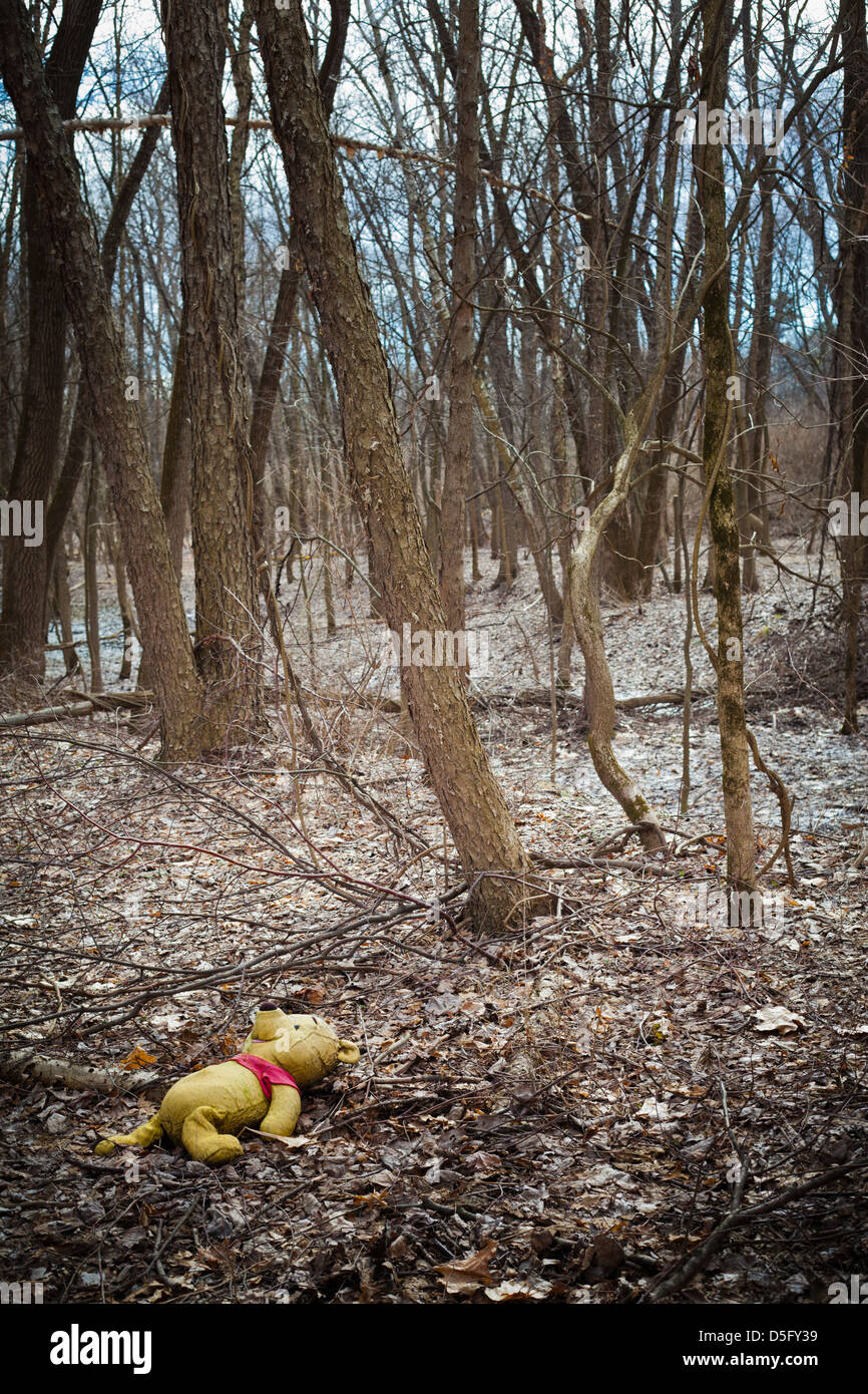 winnie the pooh stuffed animal abandoned in the woods Stock Photo