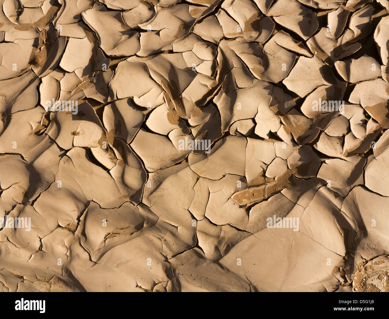 Close up of reticulated dried mud on desert floor creating abstract patterns Stock Photo