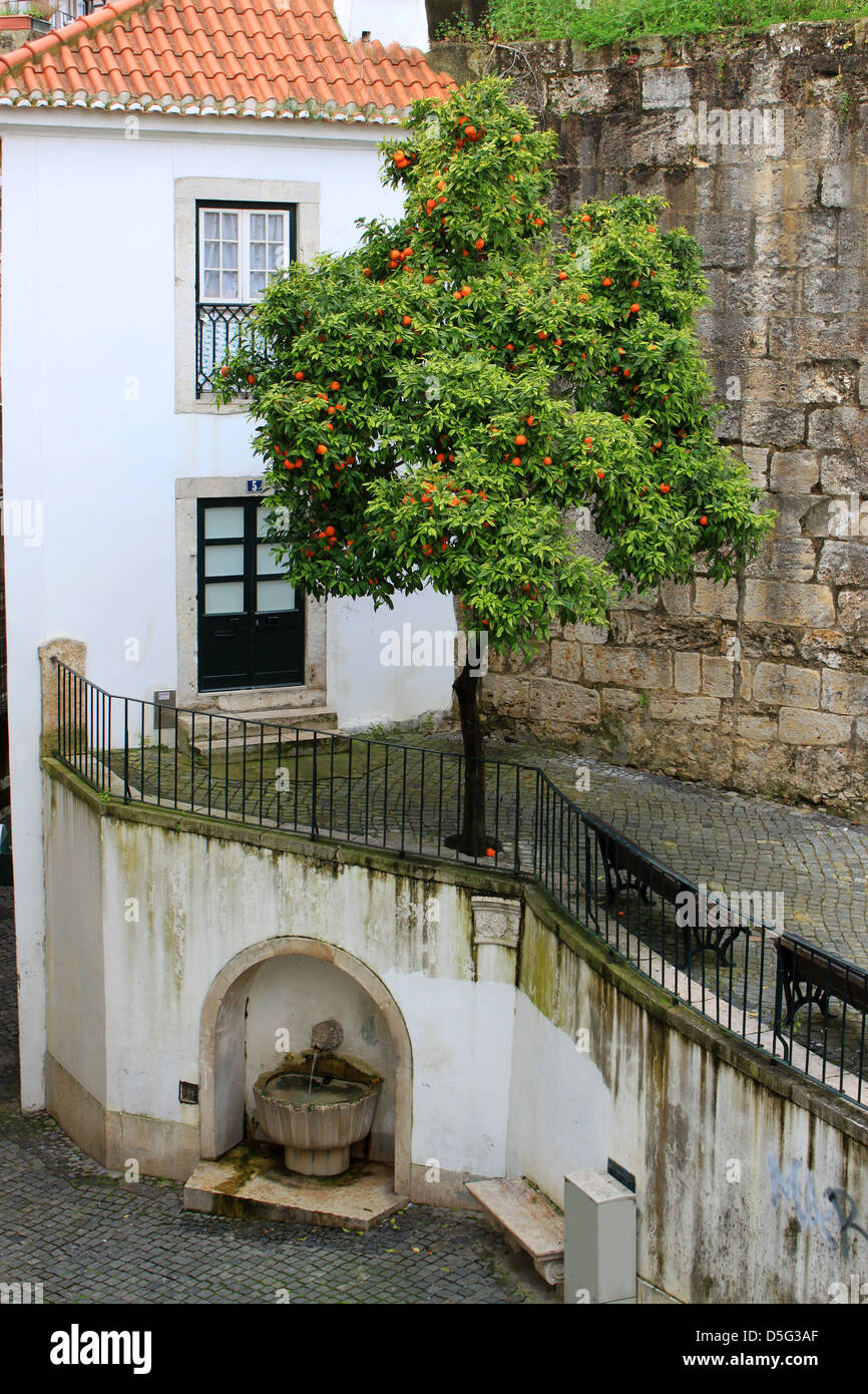 Orange tree and fountain in a cobblestone square in Alfama, Lisbon, Portugal Stock Photo
