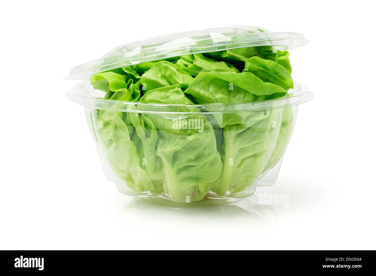 Download Green Lettuce In Open Plastic Container On White Background Stock Photo Alamy Yellowimages Mockups
