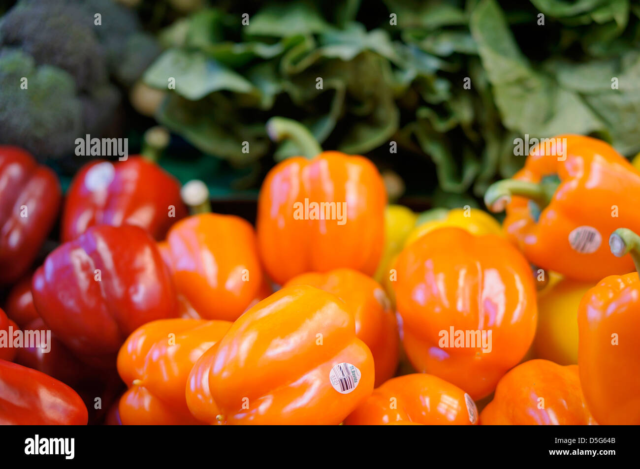 Bell Peppers Lettuce and Broccoli Stock Photo