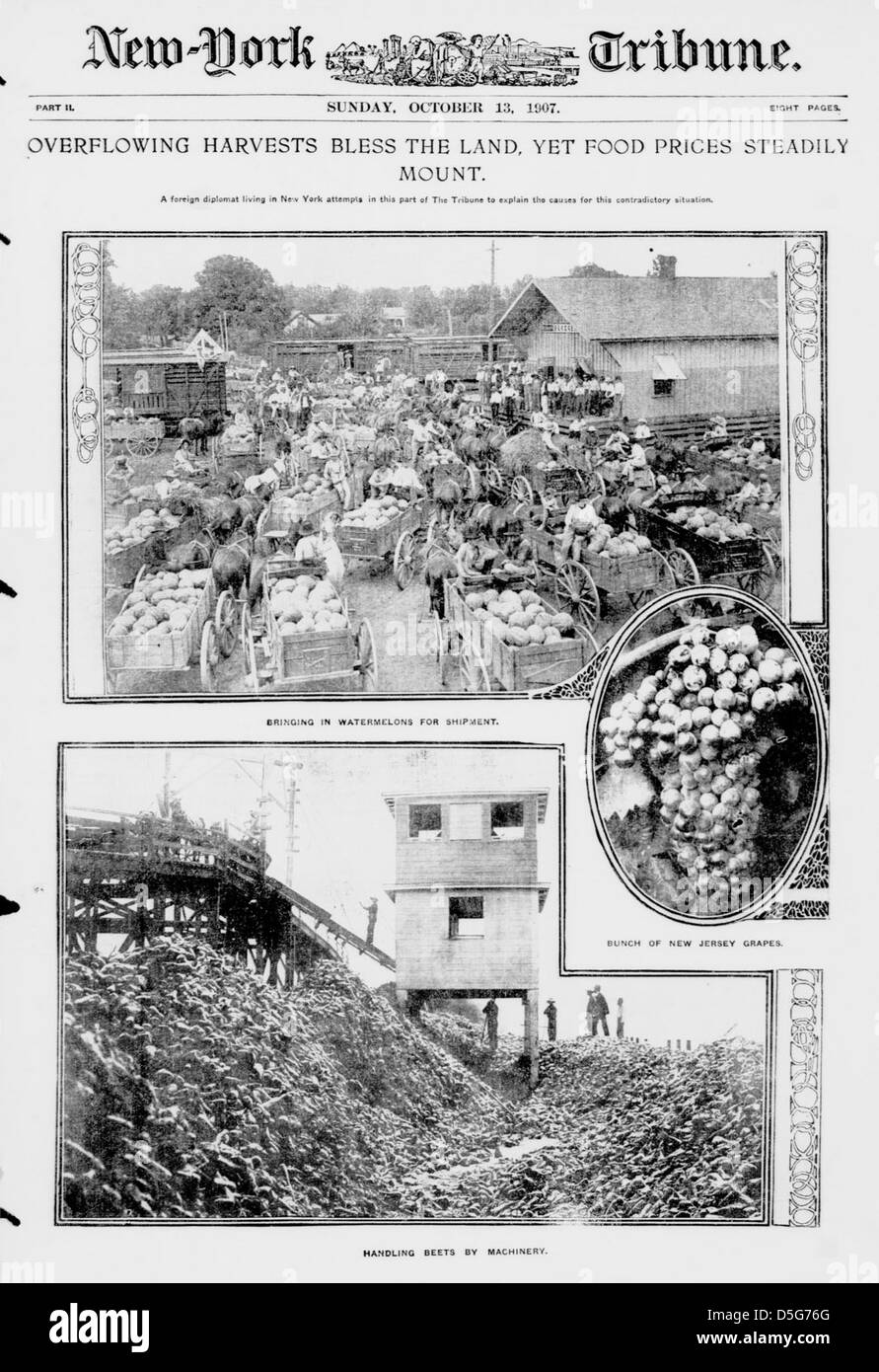 Overflowing harvests bless the land, yet food prices mount. (LOC) Stock Photo